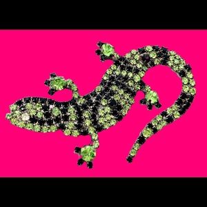 Striped Salamander Pin - Exotic Pet Reptile Brooch